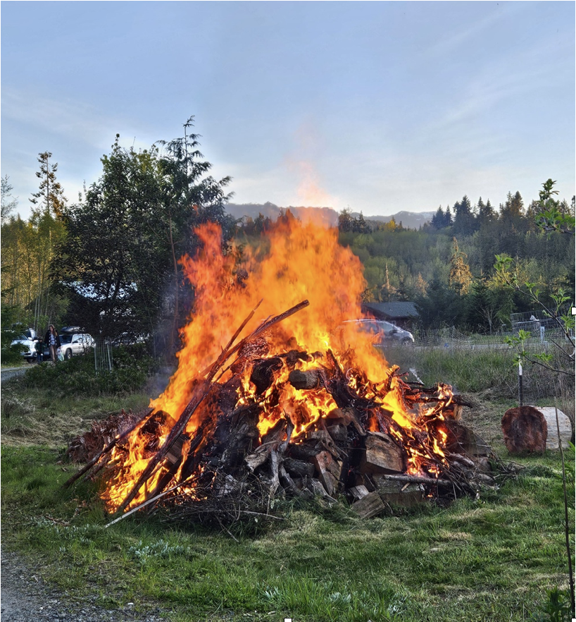 Steve Belz Bonfire